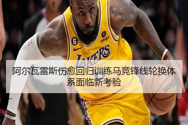 阿尔瓦雷斯伤愈回归训练马竞锋线轮换体系面临新考验